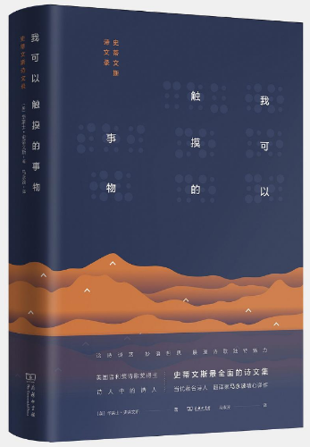 史蒂文斯 史蒂文斯