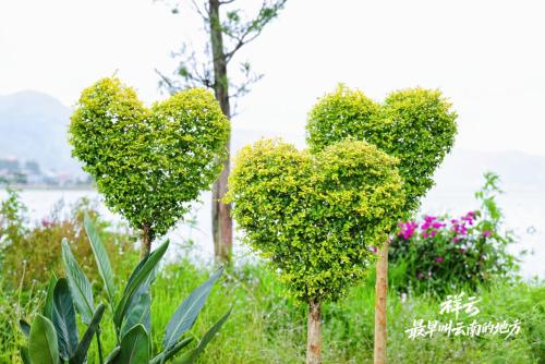 wechat_2025-08-29_195447_528 wechat_2025-08-29_195447_528