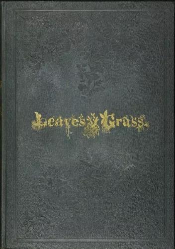 微信图片_20190531105002