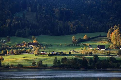 微信图片_20240328104910