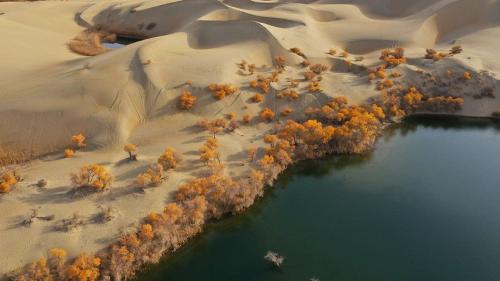 微信图片_20240328105502