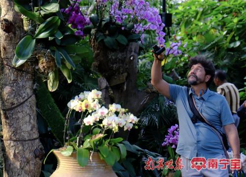 1d3f0dfd07ec2b8acb0bf2f7153cee7e