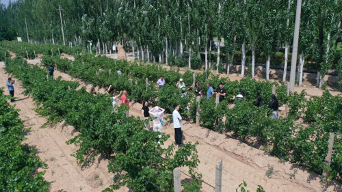 微信图片_2025-07-17_101328_398