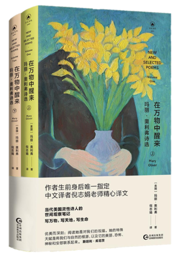 c700384ee7fe9d89f85a0639bdb8ec5b